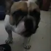 Noahcampos884 - @noahcampos884 - TikTok