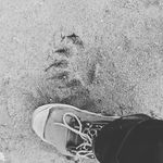 Noah - @noahjcantor - Instagram