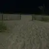 Noah Carpenter - @noah.carpenter4 - TikTok