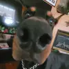 Noah - @noahcarpenter_1 - TikTok