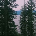 Noah Carver - @noah_carver19 - Instagram