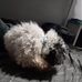Noah Cass - Facebook