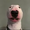 noah cass - @noah52416 - TikTok