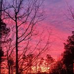 Noah Chaney - @noah_chaney3436 - Instagram