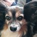 Noah Christensen - Facebook