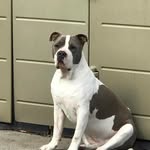 Noah Cordero - @noah.cordero.56 - Instagram