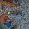 Noah Corley - @noah.corley8 - TikTok