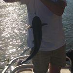 Noah Mace       Matthew Corley - @m_n_catfishservice - Instagram
