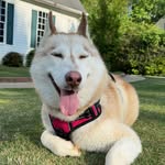 Noah Couch - @noah_couch - Instagram