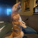Noah Couch - @noahcouch34 - Instagram