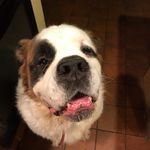 Noah Craig - @noah_.craig16 - Instagram