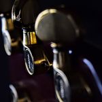 Noah Craig - @guitarspam11 - Instagram