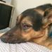 Noah Cundiff - Facebook