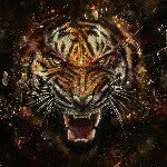 noahdean - @noahdeanravestein - Instagram
