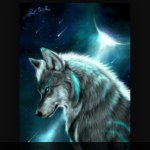 Noah Decker - @noah_decker2005 - Instagram