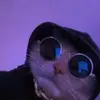 Noah Decker - @noahdecker33 - TikTok