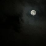 Noah Denton & Lesa Davis - @mower.boy.podcast - Instagram