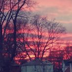 Noah Dewitt - Facebook