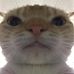 Noah Dexter - Facebook