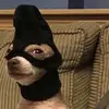 Noah Diamond - @noah.diamond - TikTok