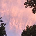 Noah Diamond - @noahdee_ - Instagram