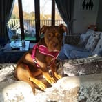 Noah Dibble - Facebook