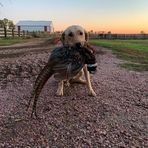 Noah Dickson - Facebook