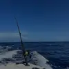nd_backup - @.noah_doherty - TikTok