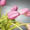 NoahDoherty - @user9120023582582 - TikTok