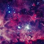 Noah Donaldson - @ryguyrocky20072 - Instagram