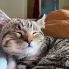 Noah Donaldson - @noah.donaldson3 - TikTok