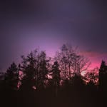Noah Donovan - @noah_dono - Instagram
