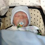 Max Noah Downing 💙 - @max_the_reborn - Instagram