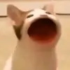 noahdupuis618 - @theaveragetiktokuser7 - TikTok