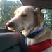 Noah Eggert - Facebook