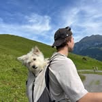 Noah - @noah_eisenring - Instagram