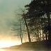 Noach Eisenstein - Facebook