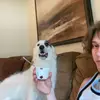 noahdoesfood - @noaheldridge0 - TikTok