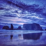 Noah Elkin - @ncelkin - Instagram