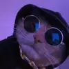 Noah Elkins - @noah.elkins - TikTok