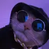 Nowiwiwiwi - @noahelkins - TikTok