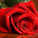 Noah Engel - Facebook