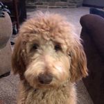 Noah Englebert - @englebertnoah17 - Instagram
