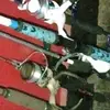 Noah Epperson - @noah.epperson1 - TikTok