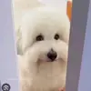 Noah - @noah.erb - TikTok
