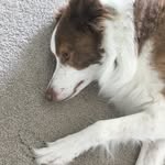 Noah.Erb - @noah.erb - Instagram