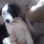 Noah Ervin - @schism_105 - Instagram