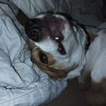 Noah esquivel - @cat_dogpage41221 - Instagram