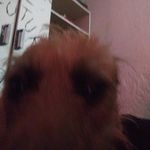 Noah Esquivel - @noah.mamero.mero - Instagram