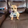 Noah Everett - @noah.everett6 - TikTok